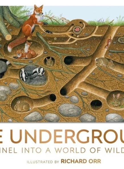 Life Underground- Tunnel into a World of Wildlife Medium 12926415 