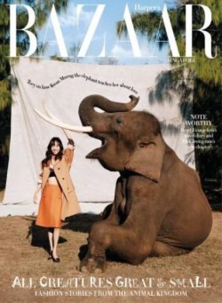 Harpers Bazaar Singapore February 2025 .jpg