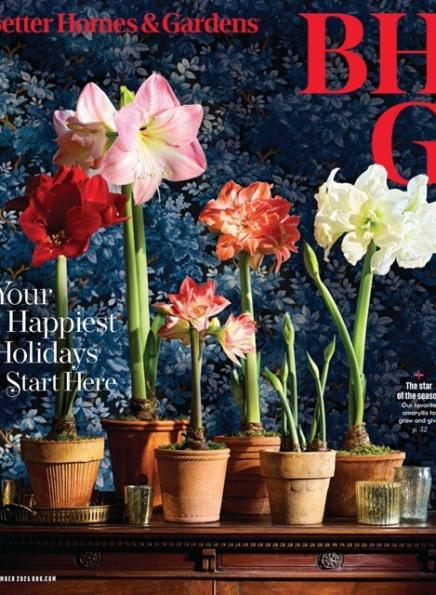 Better Homes Gardens December 2025 66134890