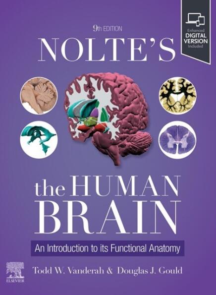 Nolte's The Human Brain/ An Introduction to its Functional Anatomy, 9th Edition 39257499 
