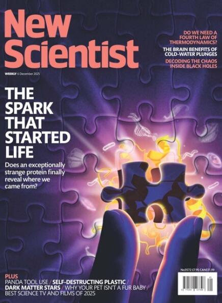 New Scientist International Edition - 6 December 2025 82754094