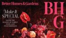 Better Homes and Gardens USA November 2025 