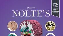 Nolte's The Human Brain/ An Introduction to its Functional Anatomy, 9th Edition 39257499 